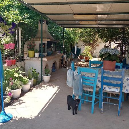 Welcome Daire Agios Spyridon  Dış mekan fotoğraf